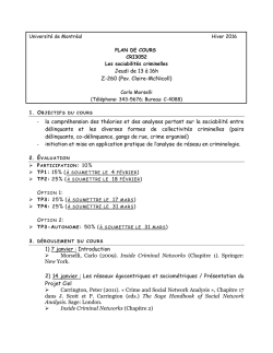 CRI 3052 A - Sociabilit&eacute;s criminelles
