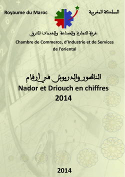 Nador et Driouch en chiffres ar-fr 2014