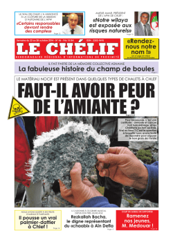 La fabuleuse histoire du champ de boules