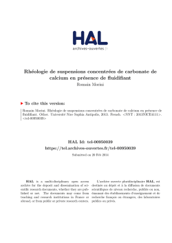 Rh&eacute;ologie de suspensions concentr&eacute;es de carbonate de - Tel