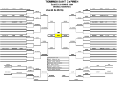 MINIMES FEMININES 36 - Judo Club Saint Cyprien