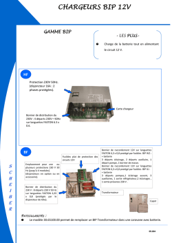 CHARGEURS BIP 12V