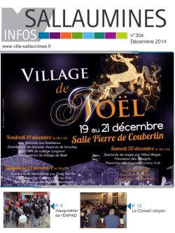 SI 304 web l&eacute;ger - Ville de Sallaumines