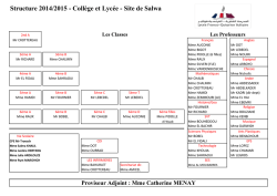 Site de Salwa - Lyc&eacute;e Voltaire