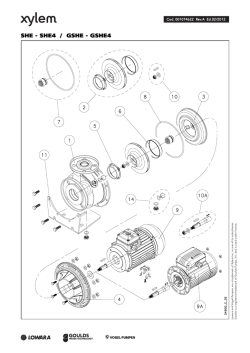 SHE - SHE4 / GSHE - GSHE4