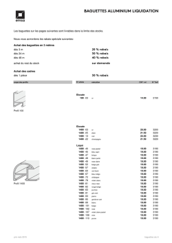 4.2_Aluleisten Auslauf 2015 F