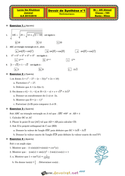 Devoir de Synth&egrave;se n&deg;1