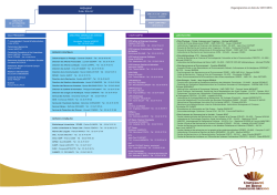 Organigramme en date du 18/01/2016 - Reims