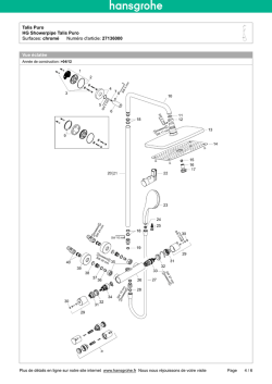 Talis Puro HG Showerpipe Talis Puro Surfaces