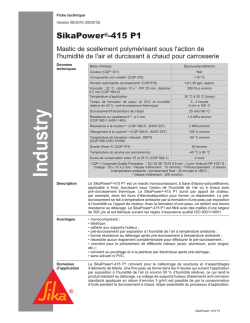 SikaPower-415 P1