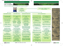 Organigramme DASSPS