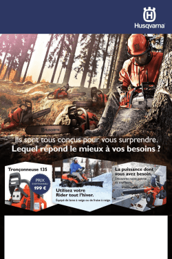 fraises a neige - Roques et Lecoeur