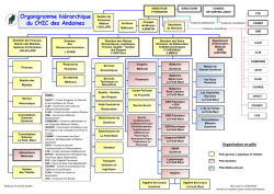 Organigramme hi&eacute;rarchique du CHIC des Andaines