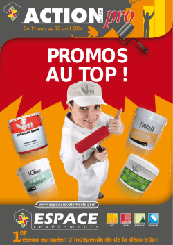 3 - La peinture Viva Bâtiment