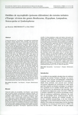 Otolithes de myctophid&eacute;s - Vlaams Instituut voor de Zee