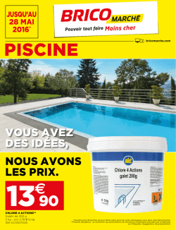 pisciNe - Bricomarch&eacute;