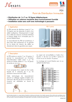 Point de Distribution Immeuble