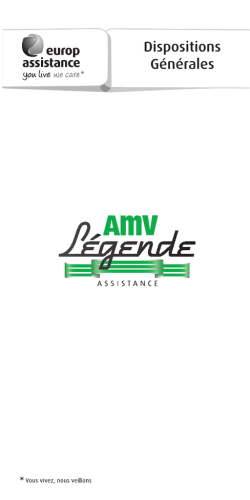 AMV Légende Assistance