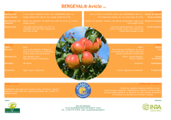 T&eacute;l&eacute;charger