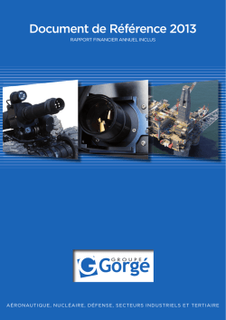 Document de R&eacute;f&eacute;rence 2013