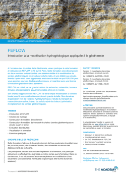 FEFLOW