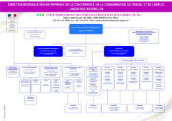 direction r&eacute;gionale des entreprises, de la concurrence, de la