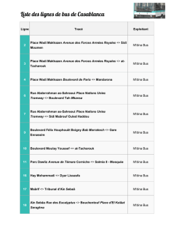 Ligne Trac&eacute; Exploitant 2 Place Wadi Makhazen
