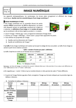IMAGE NUM&Eacute;RIQUE