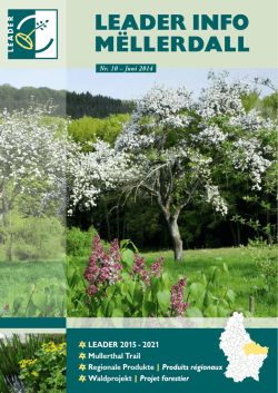 LEADER INFO M&Euml;LLERDALL