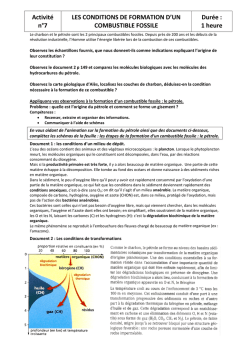 Activit&eacute; 7 la formation de combustible fossile