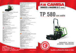 TP 580 ATOM.cdr - Fratelli Camisa