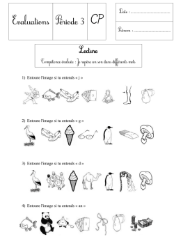 Evaluations Période 3 CP