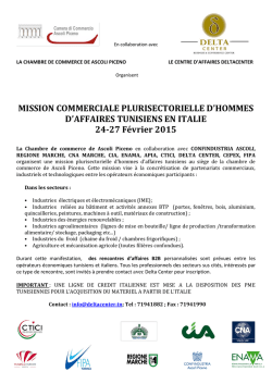 MISSION COMMERCIALE PLURISECTORIELLE