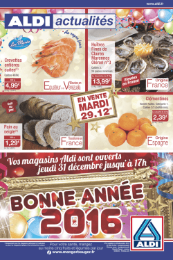 Afficher le en format PDF