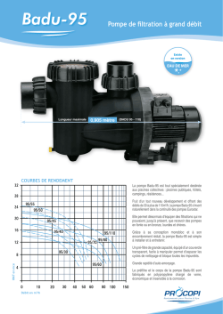 Badu-95 Pompe de filtration &agrave; grand d&eacute;bit