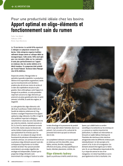 apport optimal en oligo-&eacute;l&eacute;ments et fonctionnement sain du