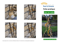 Fiche pratique lien en osier - Dou&eacute;-la