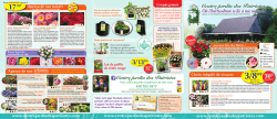 O&ugrave; l`horticulture se lie &agrave; nos racines