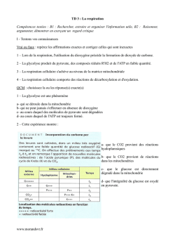 TD 3 : La respiration Comp&eacute;tences test&eacute;es : B1