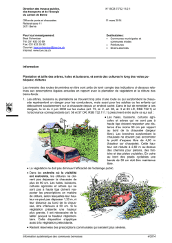 Information Plantation et taille des arbres, haies et