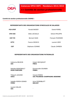 Comit&eacute;s de section professionnelle