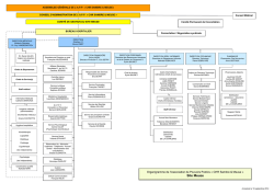 Organigramme g&eacute;n&eacute;ral (PDF)