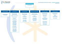 organigramme hierarchique drh campus