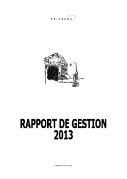 Rapport de gestion 2013 - Copie