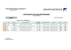 SOUTENANCE DE STAGE PROFESSIONNEL Jury-1