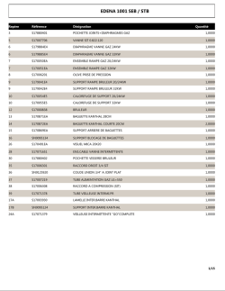EDENA 1001 SEB / STB