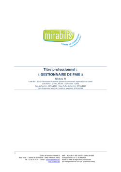 Titre professionnel : &laquo; GESTIONNAIRE DE PAIE &raquo;