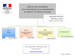 macro-_organigramme_dieccte_1er_juillet_2015