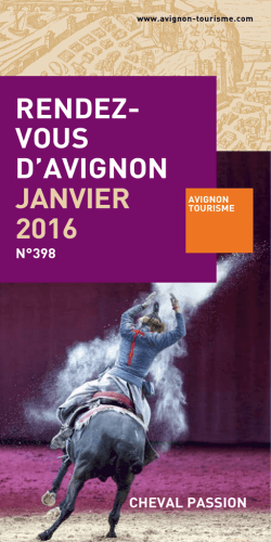 Avignon en janvier 2016