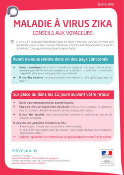ALERTE : Epid&eacute;mie du virus Zika - Consulat G&eacute;n&eacute;ral de France &agrave;